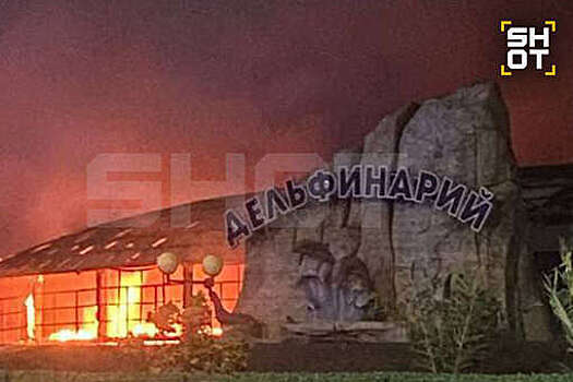 SHOT: в Ейске загорелось здание дельфинария и крокодиловой фермы