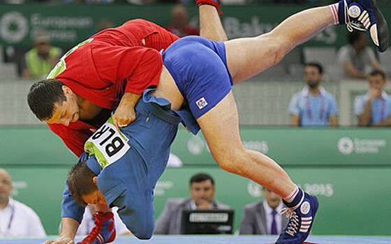 Дворец единоборств стоимостью более 2 млрд рублей планируют построить в Брянске