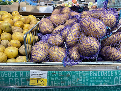 В Кургане картофель продают по 120 рублей за килограмм