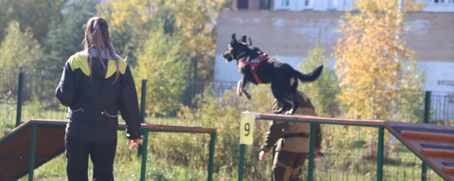 В Электрогорске 23 апреля пройдет выставка собак