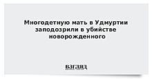 Воспитательницу детсада в Удмуртии подозревают в убийстве новорожденного