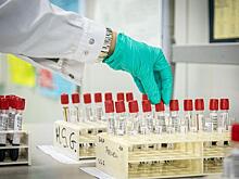 Число случаев коронавируса в мире превысило 14 млн