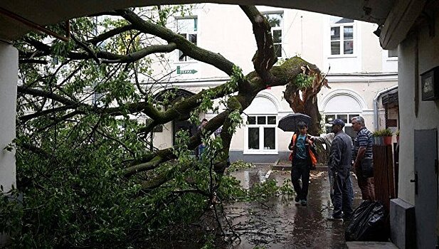 Ущерб от урагана оценили в 25 миллионов рублей