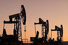 Планы по отказу от нефти к 2050 году назвали нереалистичными