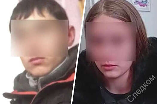 Под Омском суд приговорил к 6,5 года двух подростков, убивших трех человек