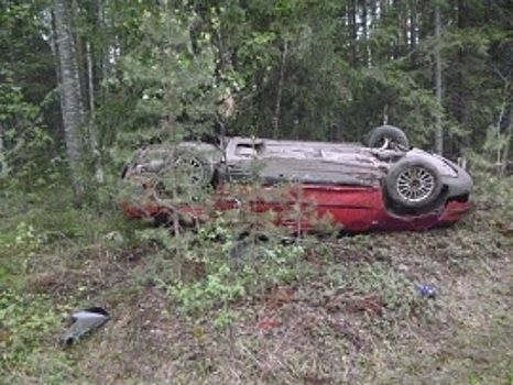 Автомобиль улетел в кювет в Нижегородской области