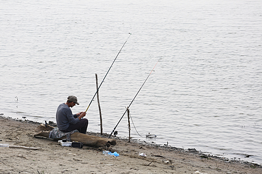 В Новосибирске ловля осетра в Оби попала на видео