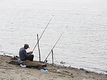 В Новосибирске ловля осетра в Оби попала на видео