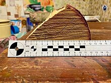 Жителя Лузы, убившего друга поленом и ножом, задержали в соседней области