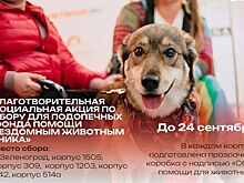 Зеленоградцев приглашают к участию в благотворительной акции сбора помощи для животных из приюта