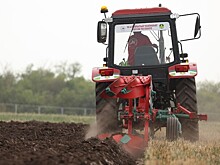 Минсельхоз: погибшие из-за заморозков посевы будут пересеяны