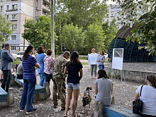 Нижегородцы высказались за очистку озера при благоустройстве в «Березовой роще»