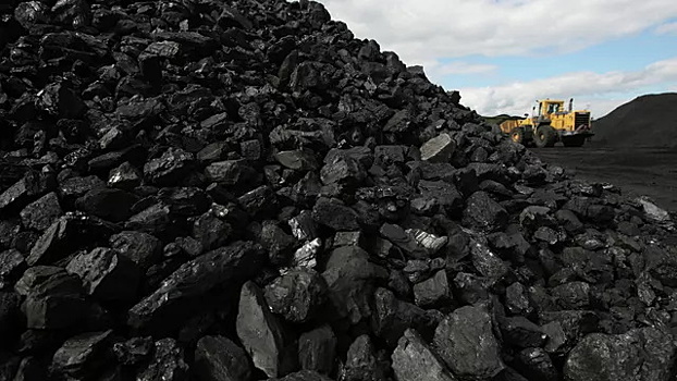 Индийская компания приостановила покупку российского угля