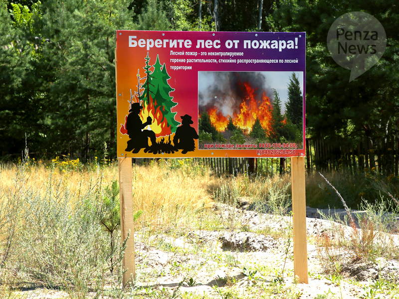 В Пензенской области в 2023 году произошло 34 лесных пожара