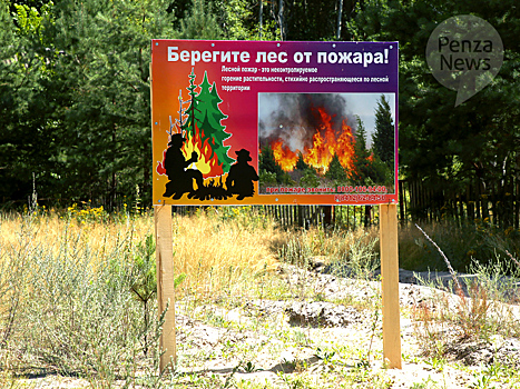 Особый противопожарный режим будет отменен в Пензенской области с 25 сентября