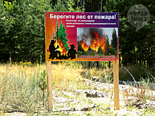 Особый противопожарный режим будет отменен в Пензенской области с 25 сентября