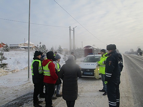 Нижегородские госавтоинспекторы и отряд ЮИД провели акцию «Внимание водитель!»