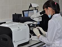 Курские полицейские вычислили преступницу по окурку через пять лет после кражи