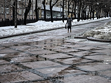 Москвичей предупредили о понижении температуры ночью до минусовых значений 