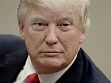Политолог объяснил суть истерии в США вокруг сына Трампа