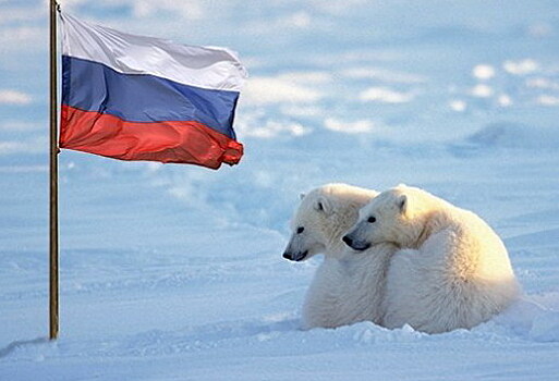 В Арктический совет не пустили Эстонию, Ирландию и Чешскую Республику даже «посмотреть»