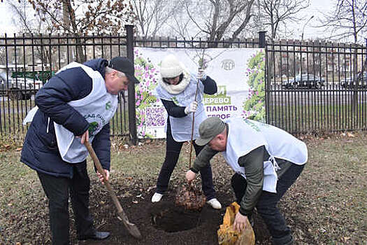 Возле семи храмов в Луганске заложили памятные аллеи в честь героев спецоперации