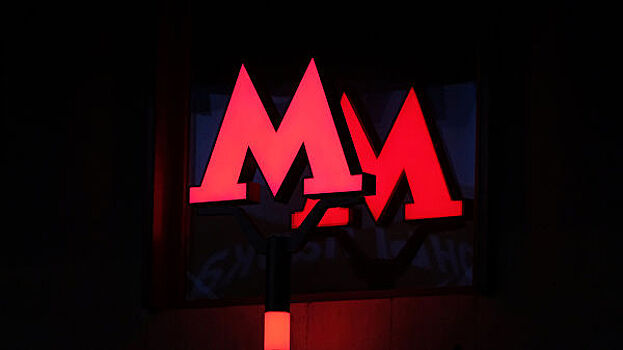 В московском метро пенсионерка погибла, упав под поезд