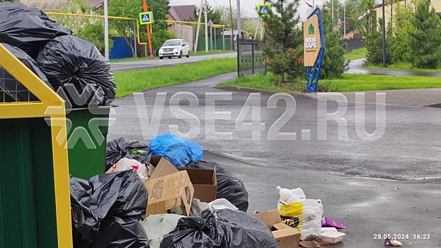 Большая свалка мусора возникла на въезде в парк в кемеровском поселке