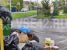 Большая свалка мусора возникла на въезде в парк в кемеровском поселке