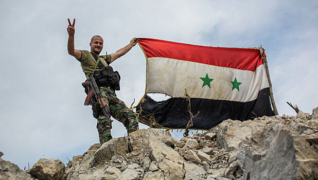 Сирийские войска освободили поселение в пригороде Пальмиры