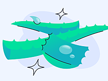 Врач предупредила, кому лучше держаться подальше от этого растения