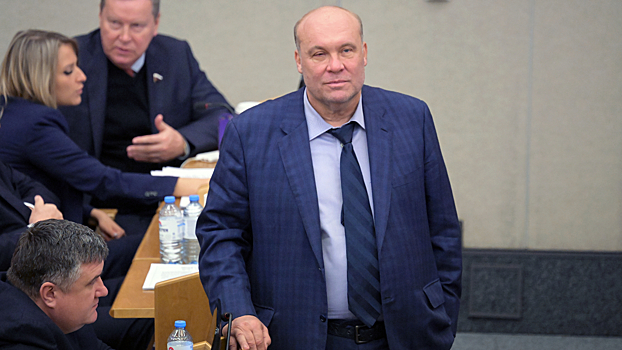 В Госдуме прокомментировали митинг в Киеве за отставку Зеленского