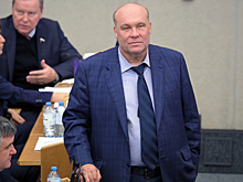 В Госдуме прокомментировали митинг в Киеве за отставку Зеленского