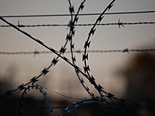 В Ростовской области двое осужденных сбежали из колонии-поселения