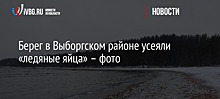 Берег в Выборгском районе усеяли «ледяные яйца» – фото