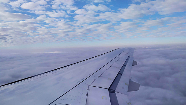 В Хабаровском крае за хулиганство на борту воздушного суда перед судом предстанет мужчина