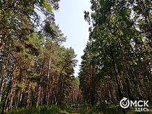 На севере Омской области открывают новый туристический центр