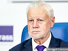 Миронов предложил проверить идею налога на бездетность на экстремизм