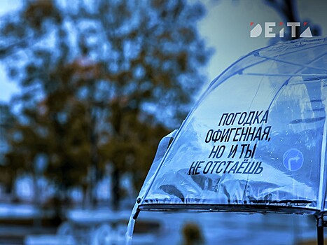 Реконструированный по нацпроекту парк в Приморье не пережил свой первый проливной дождь