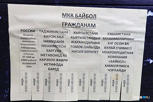 В Новосибирске появились объявления о микрокредитах на четырёх языках