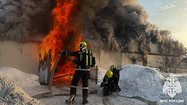 Бушующее пламя охватило дом и гараж в Кемерове