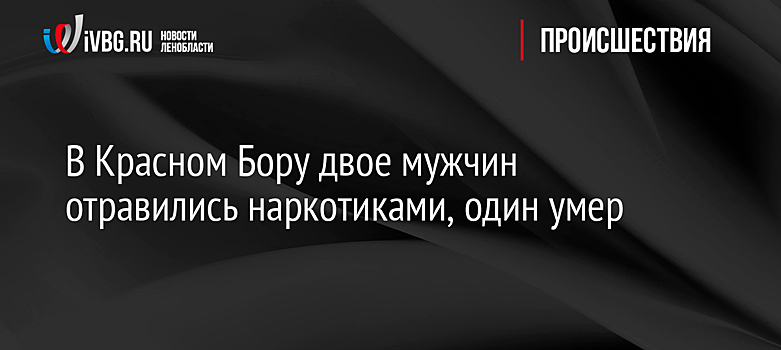 В Красном Бору двое мужчин отравились наркотиками, один умер