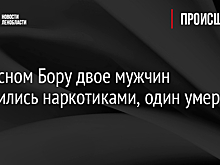 В Красном Бору двое мужчин отравились наркотиками, один умер