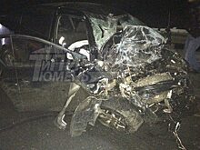 Под Тюменью водитель легковушки погиб в лобовом ДТП с грузовиком
