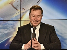 Маск чипировал свинью