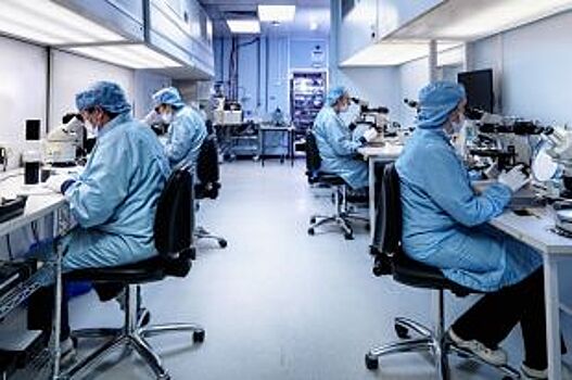 В промышленности и агрономии. Как работают изобретения кубанских учёных?