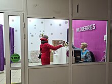 Wildberries рассказала о реальных сроках за хищение у площадки 385 млн в 2021 году