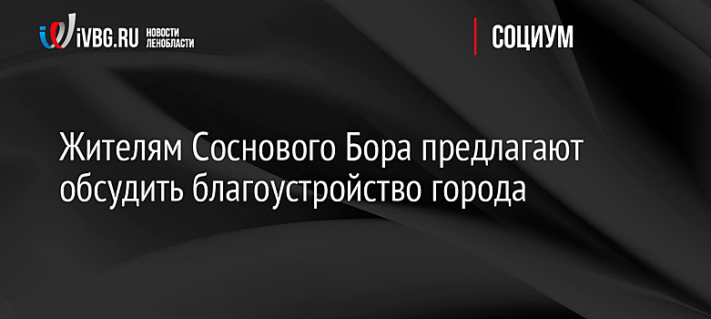 Жителям Соснового Бора предлагают обсудить благоустройство города