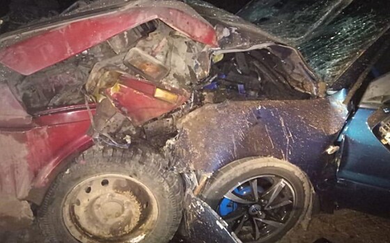 В аварии в Путятинском районе пострадали пять человека