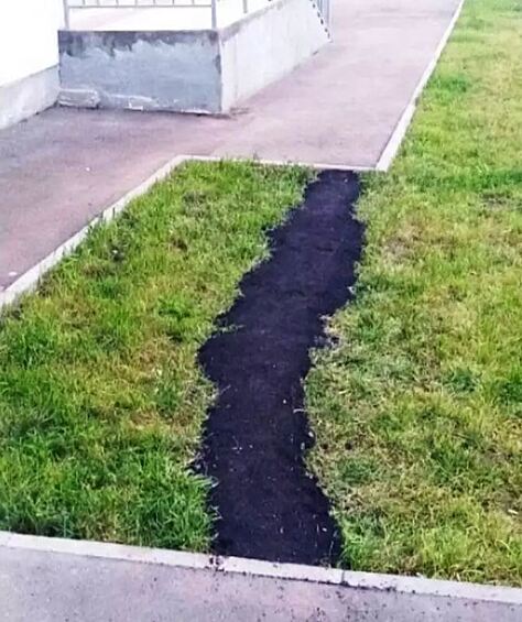 Понять русских людей невозможно, лучше даже не пытаться.